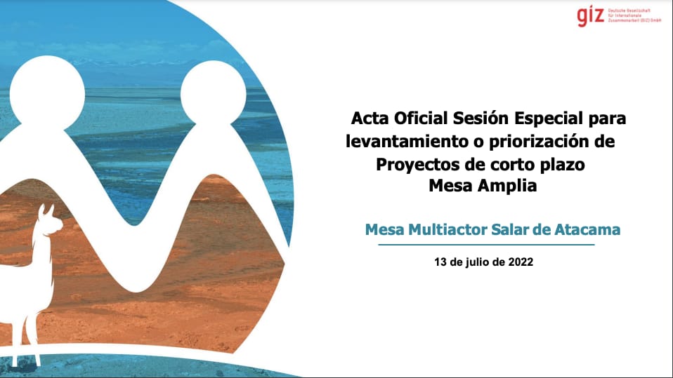 Acta sesión extraodinaria 13 de julio 2022